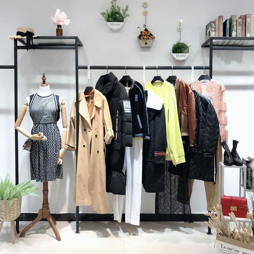 大碼女裝新時尚，批發商機盡顯優雅與舒適